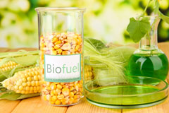 Raga biofuel availability