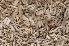 biomass boilers Raga