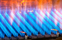 Raga gas fired boilers